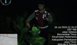 IMG-20260727-WA0000