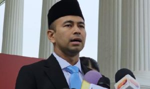 Raffi Ahmad