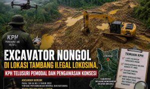 Tambang Ilegal Lokosina